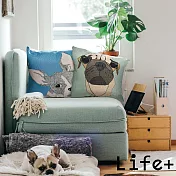 [ Life+ ] 動物派對 棉麻舒適方型抱枕/靠枕_8款任選 綠鼻子狗