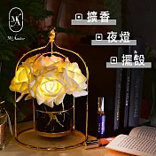 【愛莯】6朵玫瑰花LED夜燈鳥籠架系列(附贈USB充電插頭) 黑色大理石紋鳥籠