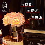 【愛莯】6朵玫瑰花LED夜燈螺旋玻璃花瓶系列(附贈USB充電插頭) 5朵維多利亞＋法式粉紅玫瑰花