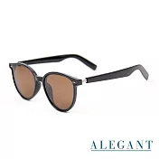 【ALEGANT】鹿褐棕清新簡練品味設計波士頓圓框輕量TR90寶麗來偏光墨鏡/UV400太陽眼鏡