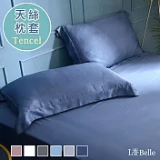 義大利La Belle《簡約純色》天絲壓框枕套--2入-深藍