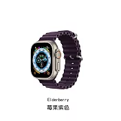 HOTGO Apple Watch 海洋錶帶 莓果紫色