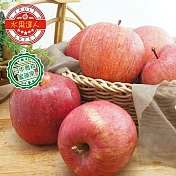【水果達人】日本青森富士蜜蘋果 XL 6顆 1箱(250g ±10%/顆)