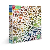 eeBoo 1000片拼圖 - 彩虹世界  A Rainbow World 1000 Piece Puzzle