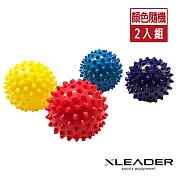 【Leader X】深層筋絡紓壓 硬式刺蝟按摩球 筋膜球 2入 顏色隨機