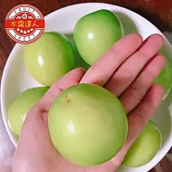 【水果達人】燕巢特選蜜糖牛奶蜜棗4斤x1箱 (5-7顆/斤)