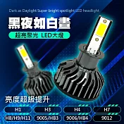 超亮聚光LED大燈_F2車燈-6000K白光_多種規格  H8/H9/H11