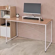 【H&R安室家】簡約風120cm大書桌/工作桌TBF39 白色