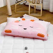 [韓國Hello HiZoo] 手工製可愛動物防蟎抗菌兒童枕/護脊/護頸枕/透氣枕 粉紅兔