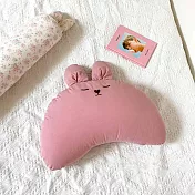 [韓國Hello HiZoo] 手工製動物造型純棉柔感兒童枕/防蟎枕/透氣枕/健康枕 Hi bunny