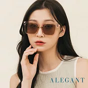 【ALEGANT】沐透茶小個性線條感方框墨鏡/UV400太陽眼鏡