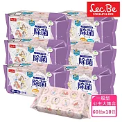 日本LEC 迪士尼抗菌濕紙巾箱購-公主大集合60抽X18包入