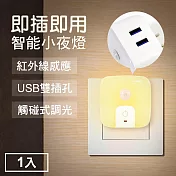 TheLife嚴選 雙USB供電孔紅外線感應燈小夜燈-插頭式 白光