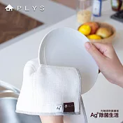 【PLYS】Ag+銀離子廚房抗菌萬用抹布(30x30/2入)