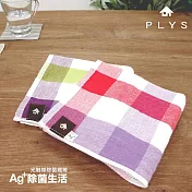 【PLYS】Ag+銀離子抗菌纖維吸水方巾(34*34cm/兩件組) 綠格紋*2