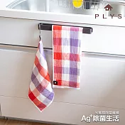 【日本PLYS】Ag+銀離子抗菌纖維吸水擦拭布 (34*80cm兩件組) 紅格紋*2