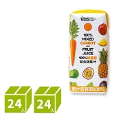 【VDS活力東勢】胡蘿蔔綜合蔬果汁200ml x24瓶/2箱(利樂包)