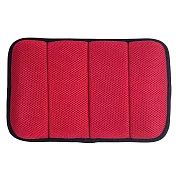 DR.AIR 背包用氣墊護腰墊(大) 紅