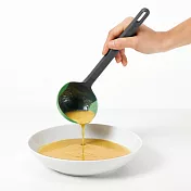 《LEKUE》不沾鍋矽膠湯杓(草綠26cm) | 料理匙 攪拌杓 攪拌勺 湯匙