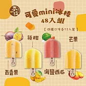 【春一枝】綜合天然水果手作冰棒mini48入組 下單三天內出貨