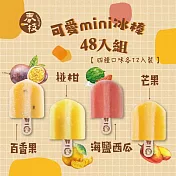【春一枝】綜合天然水果手作冰棒mini48入組