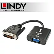 LINDY 林帝 DVI-D 轉 VGA 轉接器 (38189)