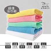 【OKPOLO】台灣製造家用素色浴巾-2條組(100%棉 超強吸水) 隨機兩色