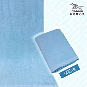 【OKPOLO】台灣製造家用素色浴巾-2條組(100%棉 超強吸水) 藍色