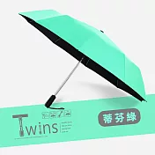 【雙龍牌】TWINS冰風自動開收傘二十骨超強防風自動傘防曬黑膠晴雨傘B6580 蒂芬綠