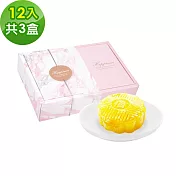 樂活e棧-花漾蒟蒻冰晶凍-橘子口味12顆x3盒(全素 甜點 冰品 水果) D+7