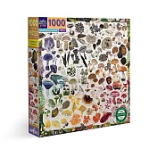 eeBoo 1000片拼圖 - 彩虹香菇 ( Mushroom Rainbow 1000 Piece Puzzle )