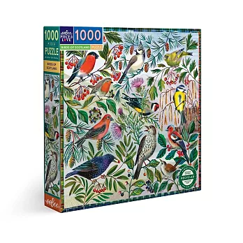 eeBoo 1000片拼圖 - 蘇格蘭鳥 ( Birds of Scotland 1000 Piece Puzzle )