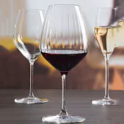 《RONA》Favourite水晶玻璃紅酒杯(430ml) | 調酒杯 雞尾酒杯 白酒杯