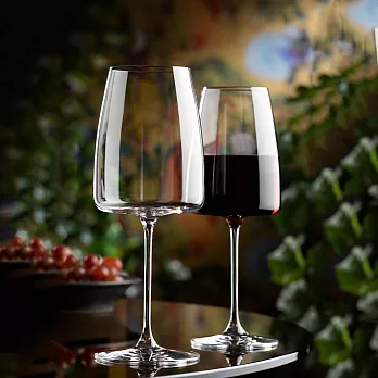 《RONA》Lord水晶玻璃白酒杯(400ml) | 調酒杯 雞尾酒杯 紅酒杯