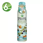 噴寶Spraypal 橄欖皂液泡沫式氣炸鍋專用洗滌噴霧(250mlx6罐)