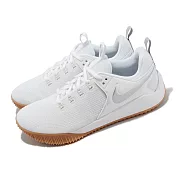 Nike 排球鞋 Air Zoom Hyperace 2 SE 男鞋 白 銀 緩震 室內運動鞋 羽桌球鞋 DM8199-100