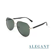 【ALEGANT】低奢時尚曠野綠飛官寶麗來偏光墨鏡/UV400太陽眼鏡
