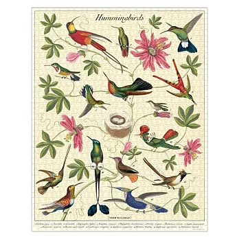 美國 Cavallini & Co. 1000片拼圖  蜂鳥們