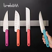 【義大利trebonn】Knives 專業刀具四件組 (主廚刀+切肉刀+麵包刀+三德刀)