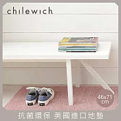 【chilewich】美國抗菌環保地墊 玄關墊46x71cm 粉紅色