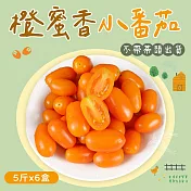 【禾鴻】橙蜜香小番茄禮盒5斤x6盒(不帶蒂頭出貨) 下單後7個工作天出貨