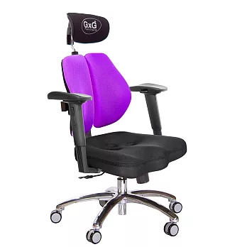GXG 兩軸枕 雙背美臀椅 (鋁腳/2D手遊休閒扶手)  TW-2534 LUA2JM