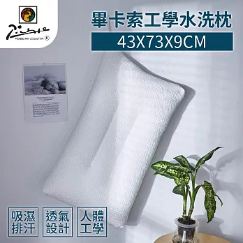 【家購網嚴選】畢卡索工學水洗枕 43x73x9cm (1入)