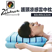【家購網嚴選】畢卡索護頸涼感雲中枕 60x40x12cm (2入)