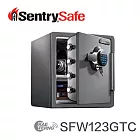 SentrySafe 電子密碼鎖防水防火金庫 SFW123GTC