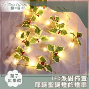 Time Leisure LED派對佈置/耶誕聖誕燈飾燈串(葉子紅果/暖白/2M)