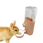 【P&H寵物家】600ML兔子/貓/狗/寵物飲水器 掛式飲水器 自動飲水機 藍
