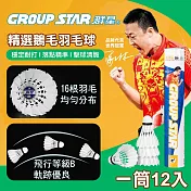 【GROUP STAR】群星精選鵝毛羽毛球1筒12入(羽球 鵝毛球 練習用羽球 練習球 親子同樂/GS666)