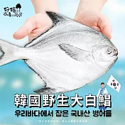 【好嬸水產】韓國直送-野生白鯧-300G
