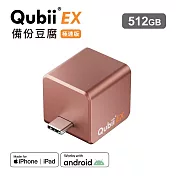 Maktar QubiiEX USB-C 極速版 備份豆腐 手機備份 內含記憶體 512G  玫瑰金
